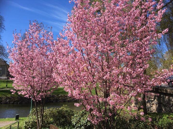 Skaenninge Stadshotell 外观 照片
